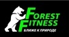  Forest Fitness